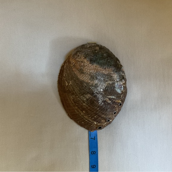 Abalone Shell Bowl + Sage Smudge Stick + Feather *3 Piece Set - Picture 6 of 9